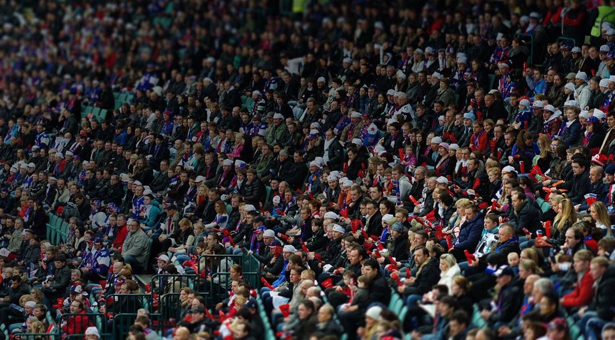 Crowd Management Sport Stadium